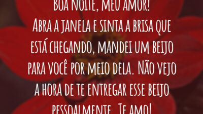 Boa noite, meu amor! Abra a janela e sinta a brisa que está chegando, mandei um beijo para você por meio dela. Não vejo a hora de te entregar esse beijo pessoalmente. Te amo!