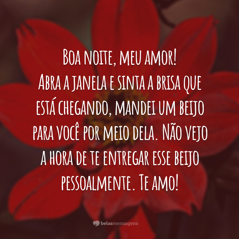 Boa noite, meu amor! Abra a janela e sinta a brisa que está chegando, mandei um beijo para você por meio dela. Não vejo a hora de te entregar esse beijo pessoalmente. Te amo!