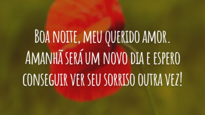 Boa noite, meu querido amor. Amanhã será um novo dia e espero conseguir ver seu sorriso outra vez!