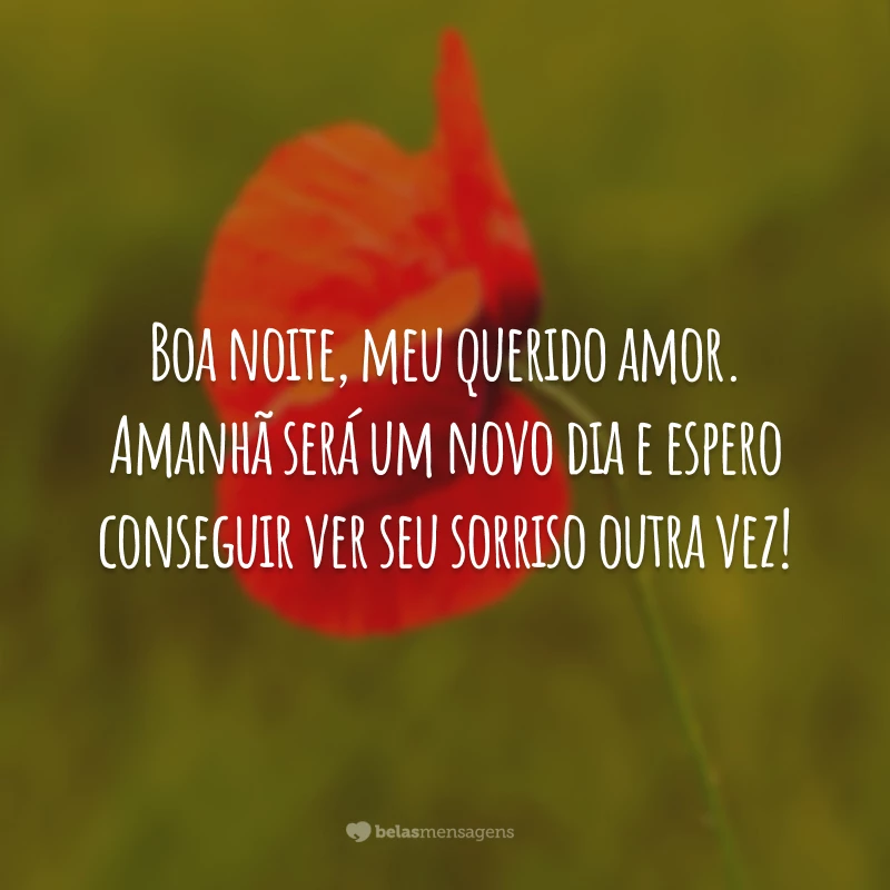 Boa noite, meu querido amor. Amanhã será um novo dia e espero conseguir ver seu sorriso outra vez!