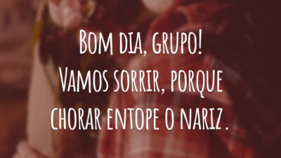 Bom dia, grupo! Vamos sorrir, porque chorar entope o nariz.