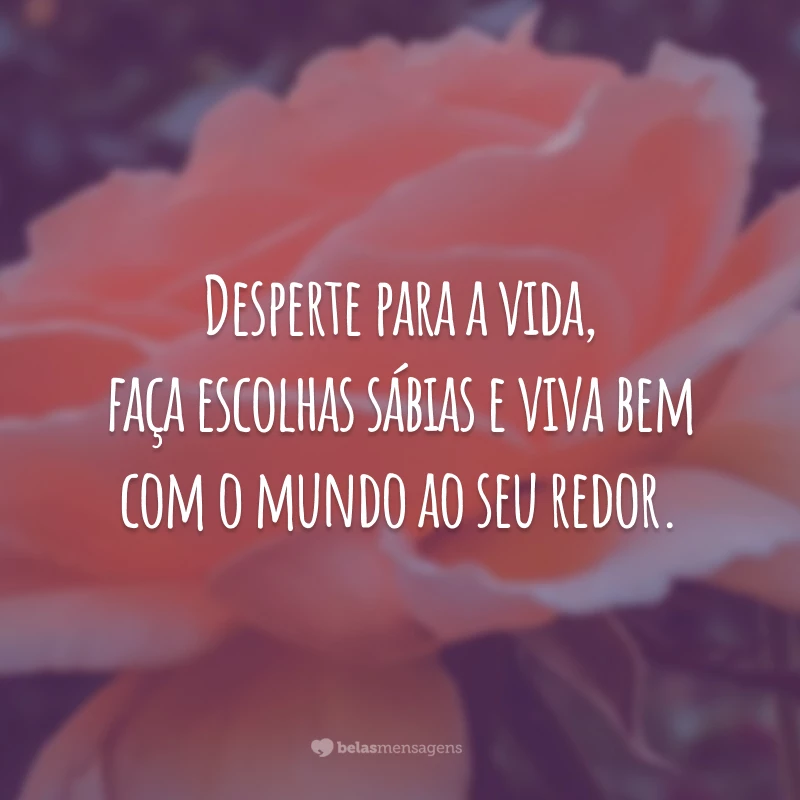 Desperte para a vida, faça escolhas sábias e viva bem com o mundo ao seu redor.