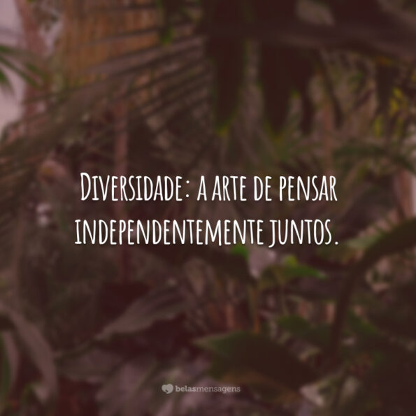 30 frases sobre diversidade para entender que as diferenças nos une
