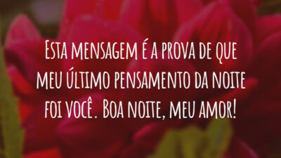 Esta mensagem é a prova de que meu último pensamento da noite foi você. Boa noite, meu amor!