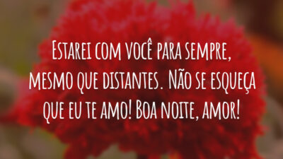 Estarei com você para sempre, mesmo que distantes. Não se esqueça que eu te amo! Boa noite, amor!