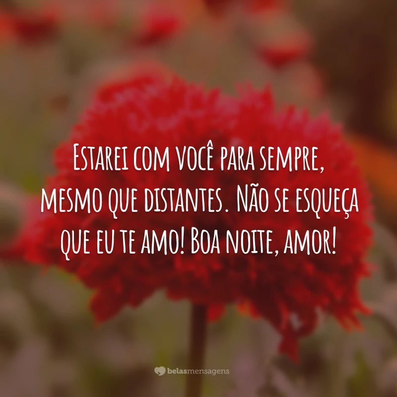 Estarei com você para sempre, mesmo que distantes. Não se esqueça que eu te amo! Boa noite, amor!