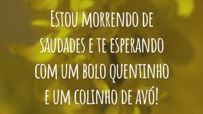 Estou morrendo de saudades e te esperando com um bolo quentinho e um colinho de avó!
