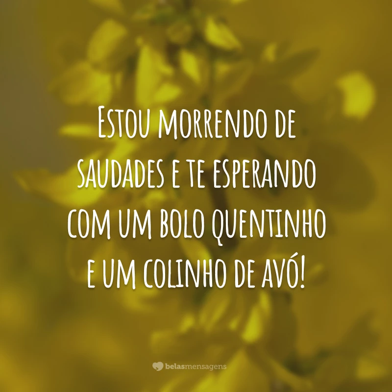 Estou morrendo de saudades e te esperando com um bolo quentinho e um colinho de avó!