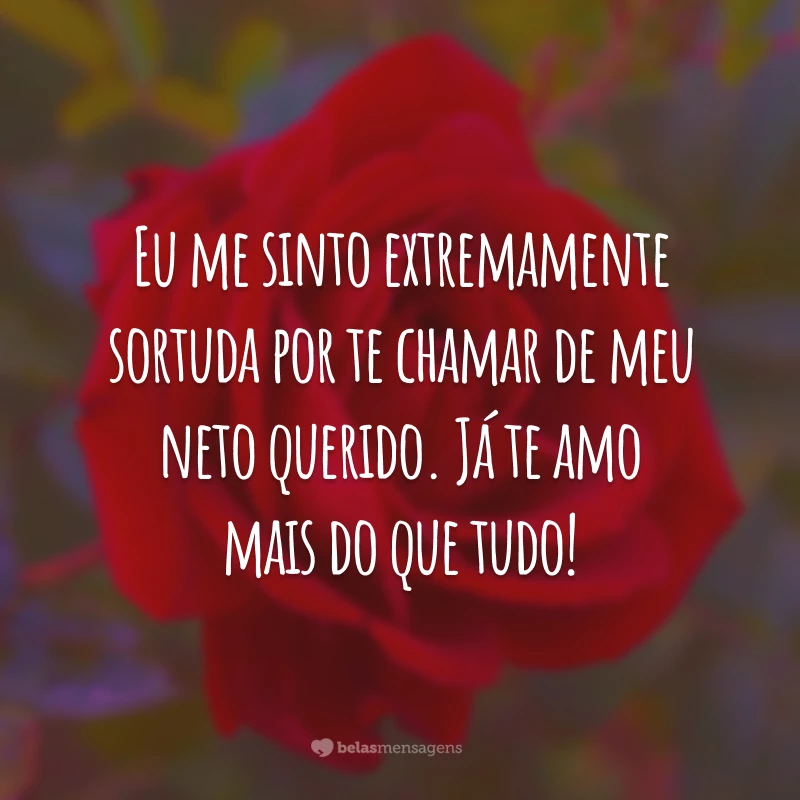 Eu me sinto extremamente sortuda por te chamar de meu neto querido. Já te amo mais do que tudo!