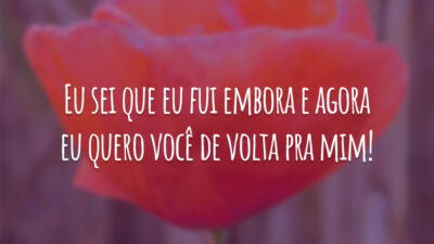 Eu sei que eu fui embora e agora eu quero você de volta pra mim!