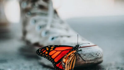 40 frases de transformação para abraçar novas possibilidades