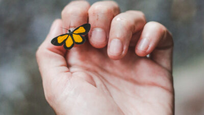 40 frases para acalmar o coração e abraçar a tranquilidade