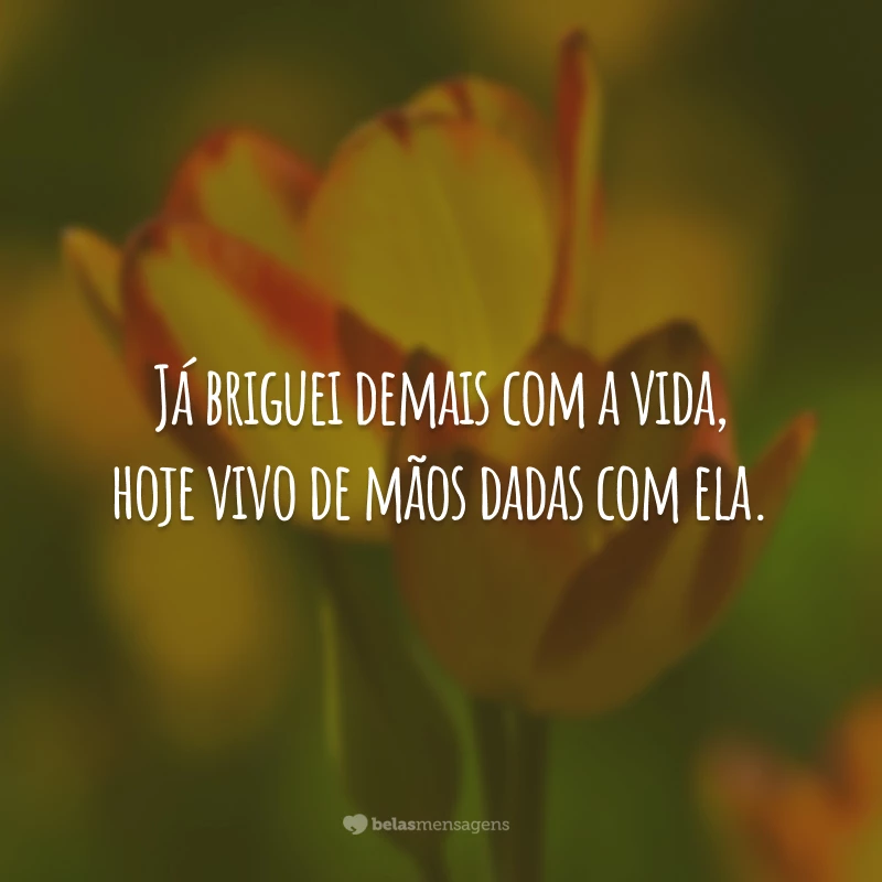 Já briguei demais com a vida, hoje vivo de mãos dadas com ela.