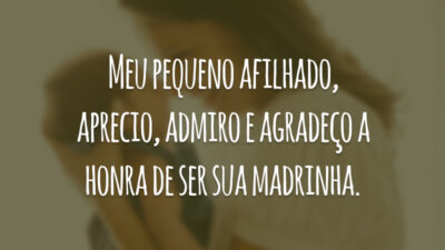 Meu pequeno afilhado, aprecio, admiro e agradeço a honra de ser sua madrinha.
