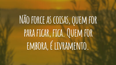 Não force as coisas, quem for para ficar, fica. Quem for embora, é livramento.
