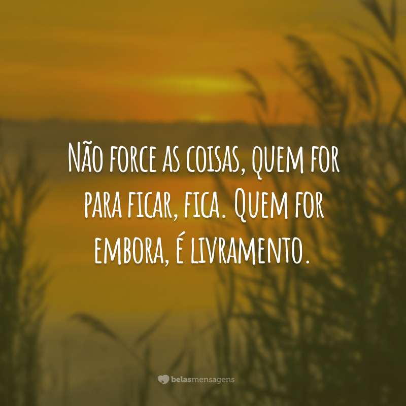 Não force as coisas, quem for para ficar, fica. Quem for embora, é livramento.