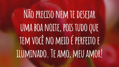 Não preciso nem te desejar uma boa noite, pois tudo que tem você no meio é perfeito e iluminado. Te amo, meu amor!