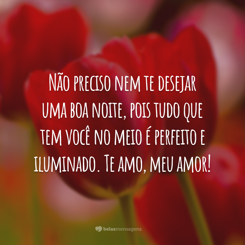 Não preciso nem te desejar uma boa noite, pois tudo que tem você no meio é perfeito e iluminado. Te amo, meu amor!