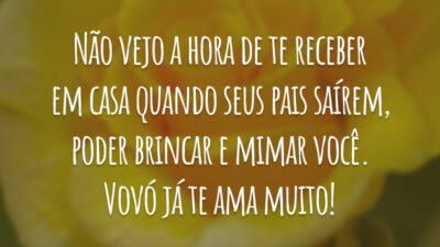 Não vejo a hora de te receber em casa quando seus pais saírem, poder brincar e mimar você. Vovó já te ama muito!