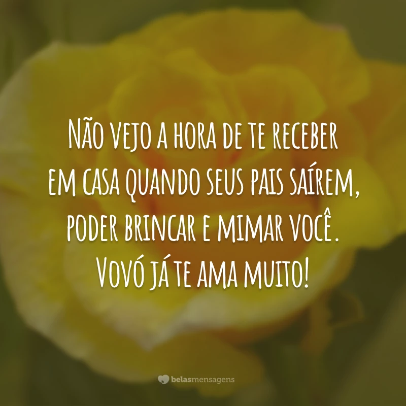 Não vejo a hora de te receber em casa quando seus pais saírem, poder brincar e mimar você. Vovó já te ama muito!