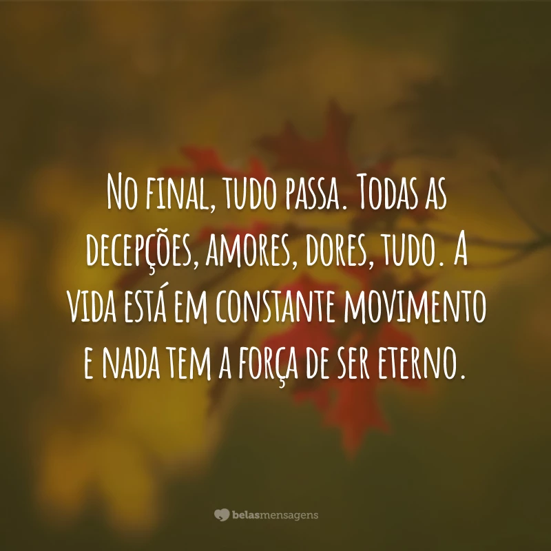 No final, tudo passa. Todas as decepções, amores, dores, tudo. A vida está em constante movimento e nada tem a força de ser eterno.