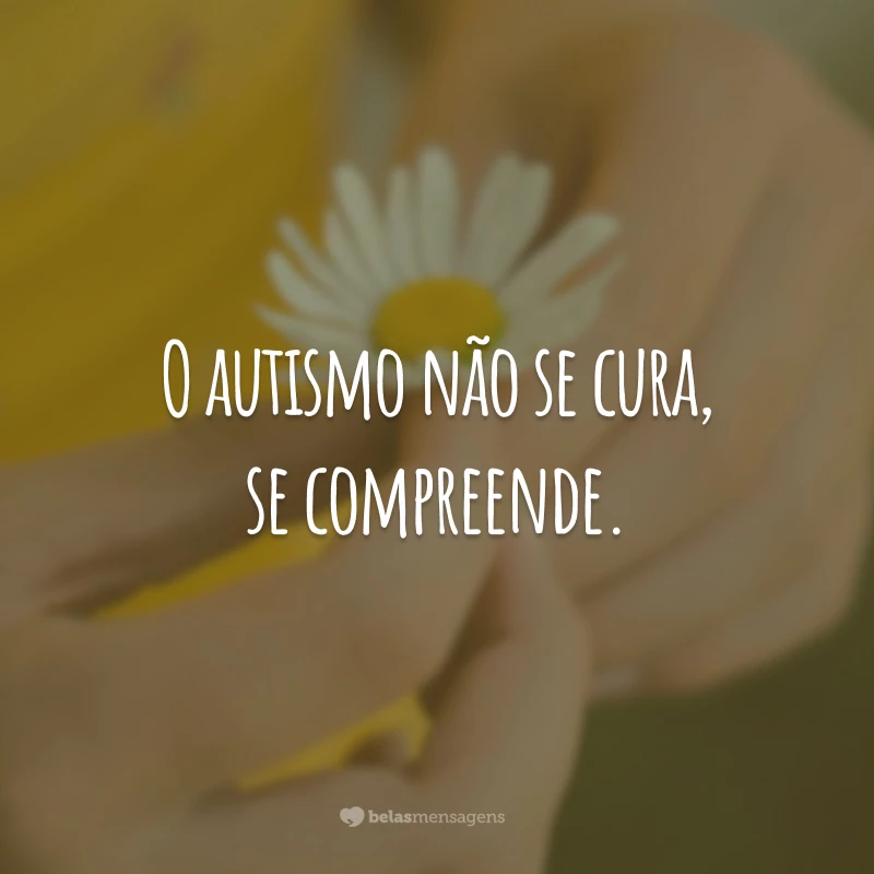 O autismo não se cura, se compreende.