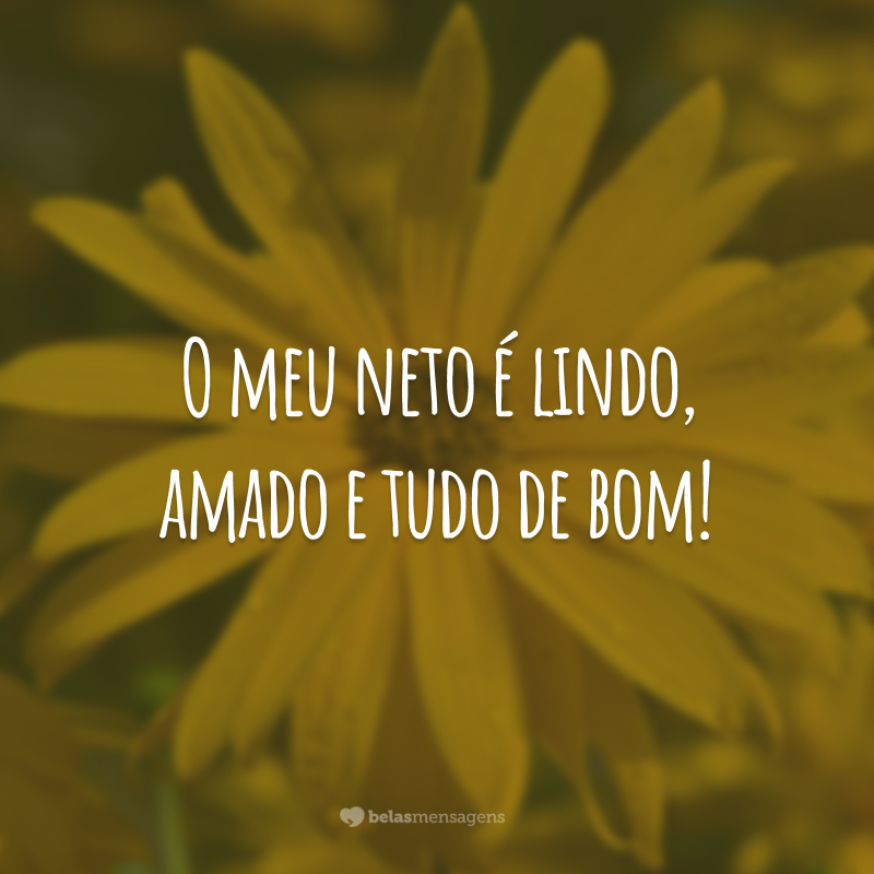 O meu neto é lindo, amado e tudo de bom!