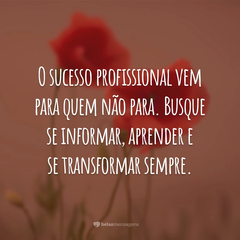 O sucesso profissional vem para quem não para. Busque se informar, aprender e se transformar sempre.