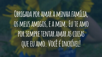 Obrigada por amar a minha família, os meus amigos, e a mim. Eu te amo por sempre tentar amar as coisas que eu amo. Você é incrível!