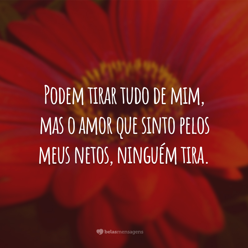 Podem tirar tudo de mim, mas o amor que sinto pelos meus netos, ninguém tira.