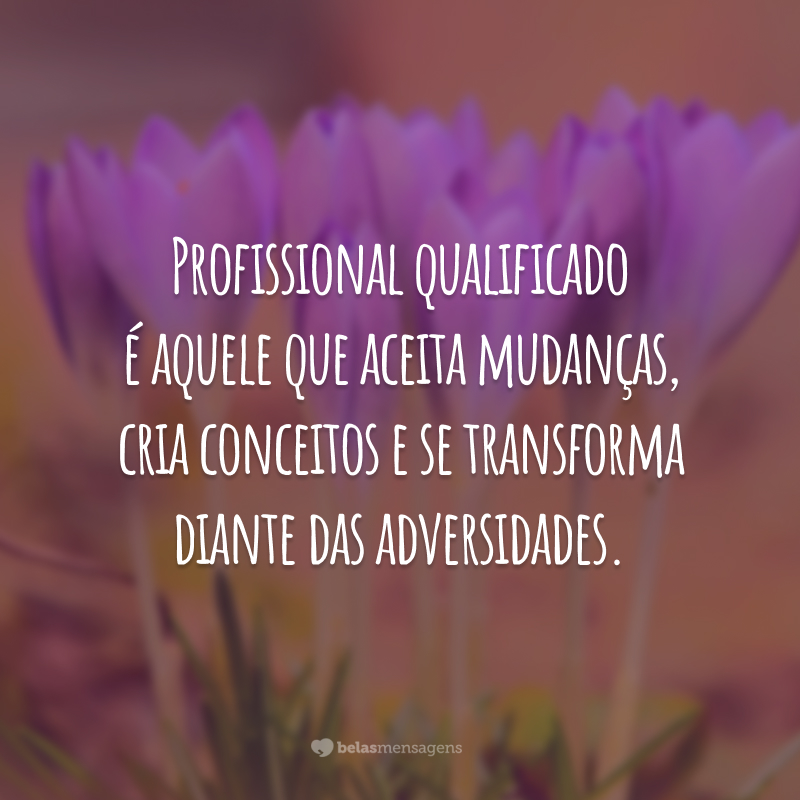 Lance Seara - Bom dia🥰 #frasedodia #evolução #transformação