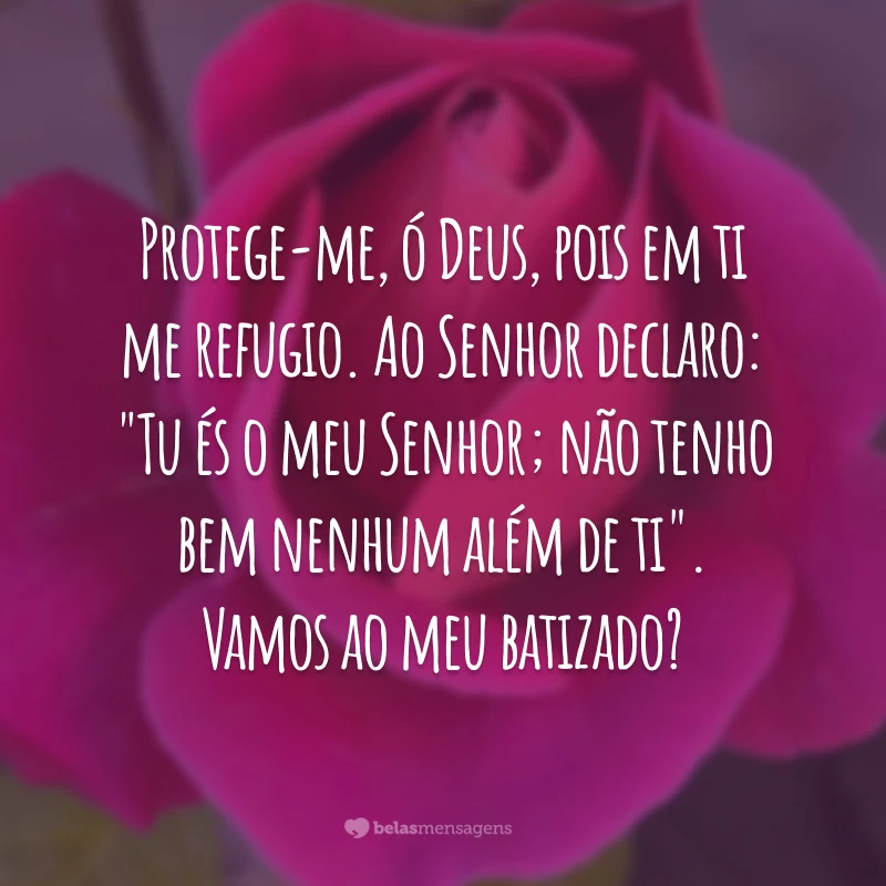 Protege-me, ó Deus, pois em ti me refugio. Ao Senhor declaro: 