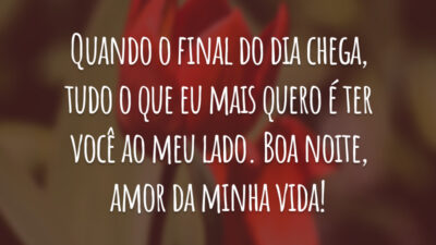 Quando o final do dia chega, tudo o que eu mais quero é ter você ao meu lado. Boa noite, amor da minha vida!