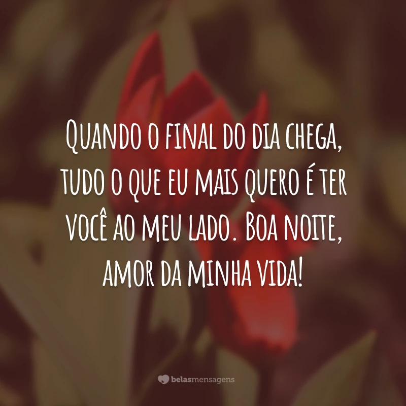 Quando o final do dia chega, tudo o que eu mais quero é ter você ao meu lado. Boa noite, amor da minha vida!