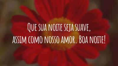 Que sua noite seja suave, assim como nosso amor. Boa noite!