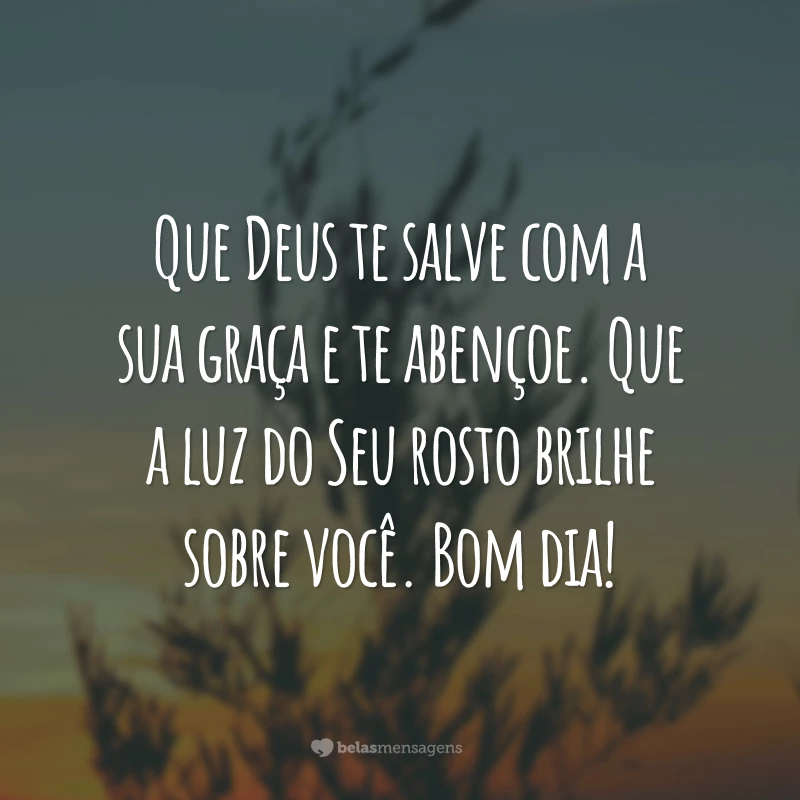 Que Deus te salve com a sua graça e te abençoe. Que a luz do Seu rosto brilhe sobre você. Bom dia!