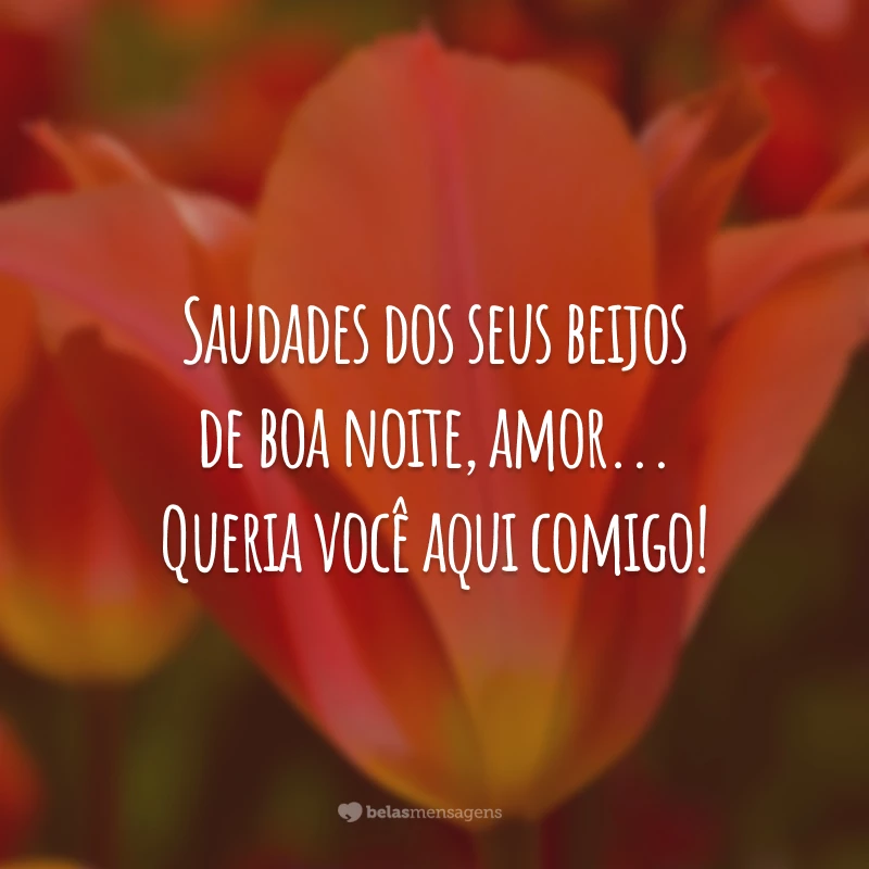 Saudades dos seus beijos de boa noite, amor... Queria você aqui comigo!