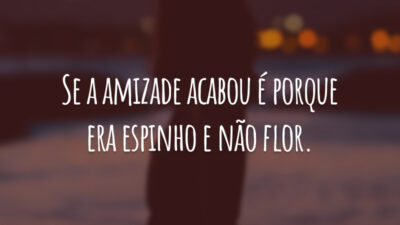 Se a amizade acabou é porque era espinho e não flor.