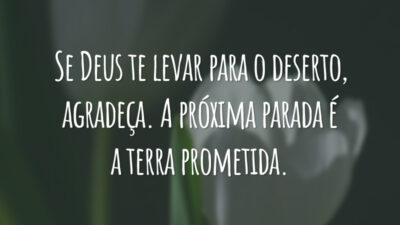 Se Deus te levar para o deserto, agradeça. A próxima parada é a terra prometida.