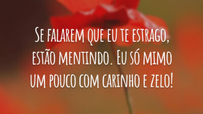 Se falarem que eu te estrago, estão mentindo. Eu só mimo um pouco com carinho e zelo!