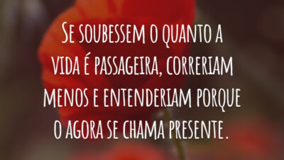 Se soubessem o quanto a vida é passageira, correriam menos e entenderiam porque o agora se chama presente.