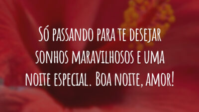 Só passando para te desejar sonhos maravilhosos e uma noite especial. Boa noite, amor!