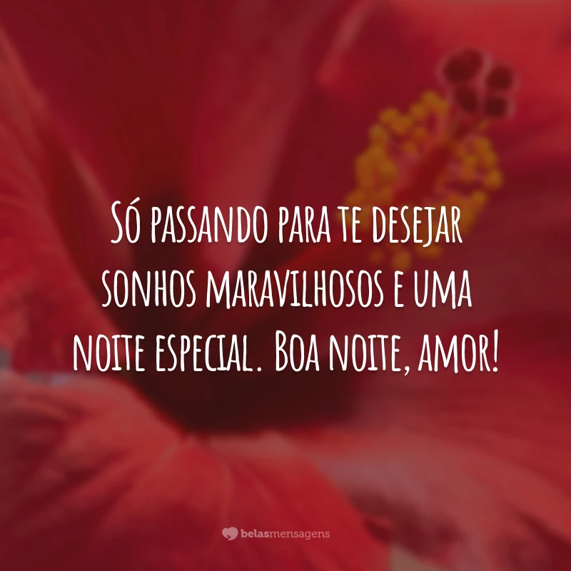 Só passando para te desejar sonhos maravilhosos e uma noite especial. Boa noite, amor!