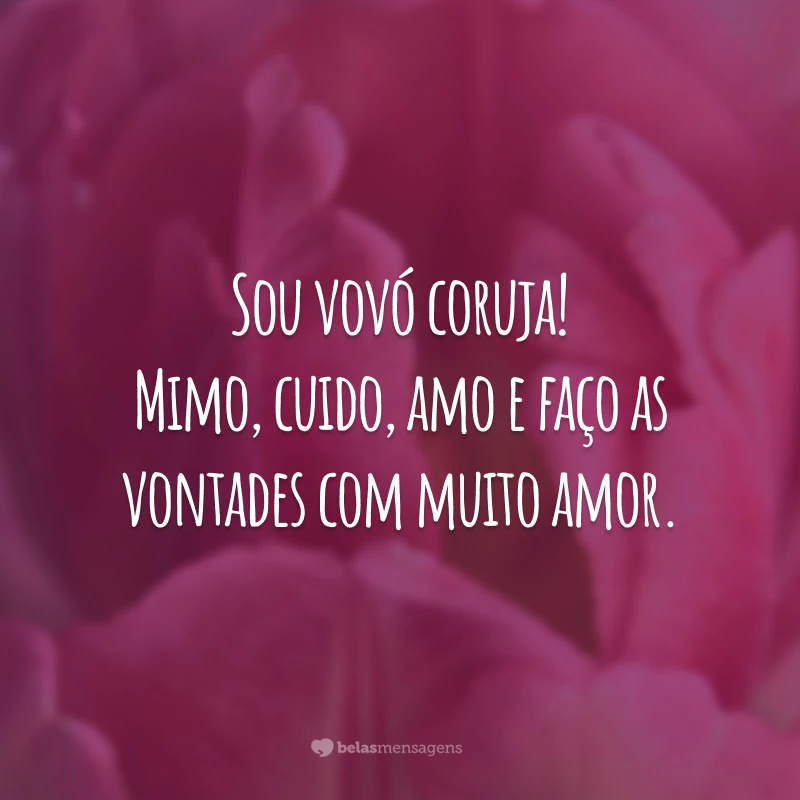 Sou vovó coruja! Mimo, cuido, amo e faço as vontades com muito amor.