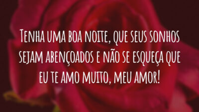 Tenha uma boa noite, que seus sonhos sejam abençoados e não se esqueça que eu te amo muito, meu amor!