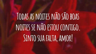 Todas as noites não são boas noites se não estou contigo. Sinto sua falta, amor!