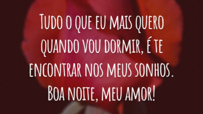 Tudo o que eu mais quero quando vou dormir, é te encontrar nos meus sonhos. Boa noite, meu amor!