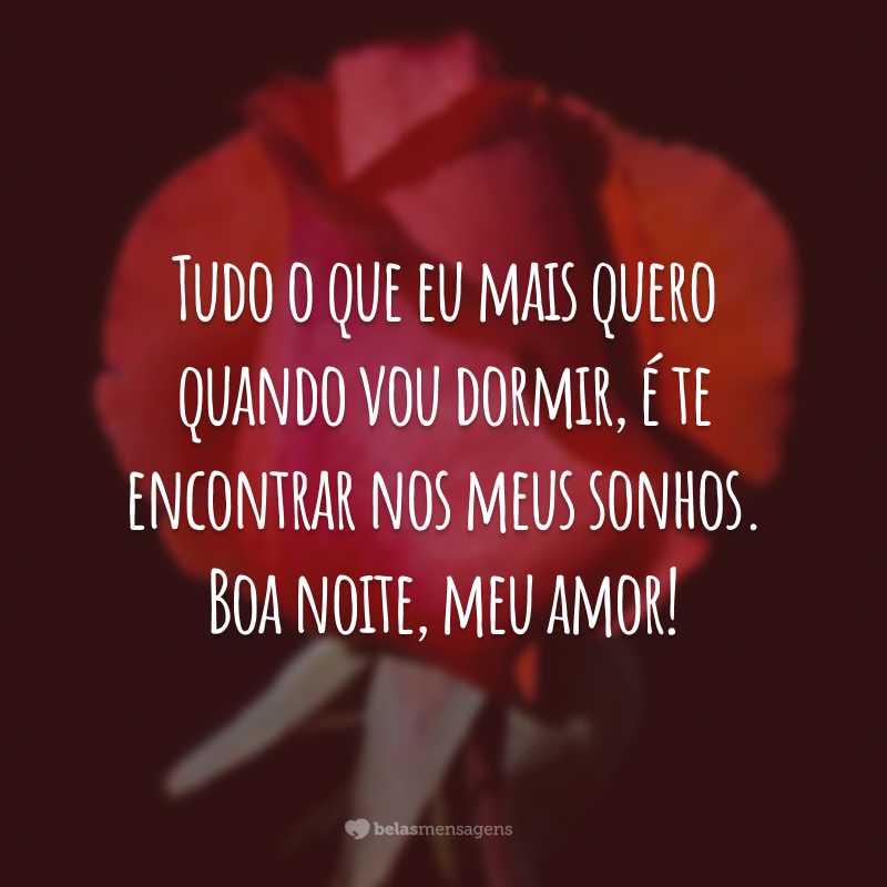 Tudo o que eu mais quero quando vou dormir, é te encontrar nos meus sonhos. Boa noite, meu amor!