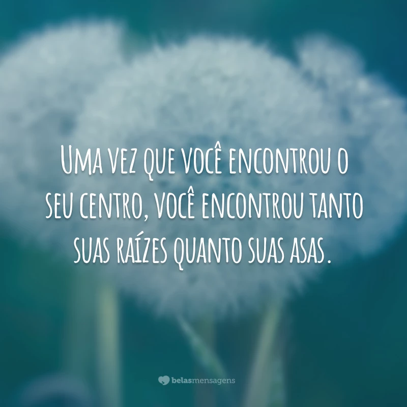 Lance Seara - Bom dia🥰 #frasedodia #evolução #transformação