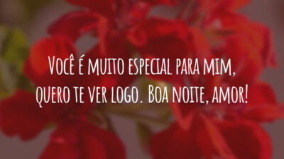 Você é muito especial para mim, quero te ver logo. Boa noite, amor!